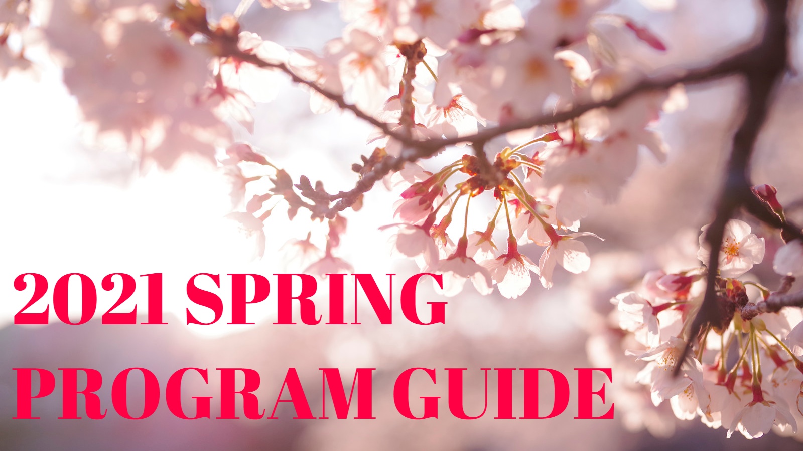 Mfm 21 4 Spring Program Guide エフエム鹿児島 ミューエフエム