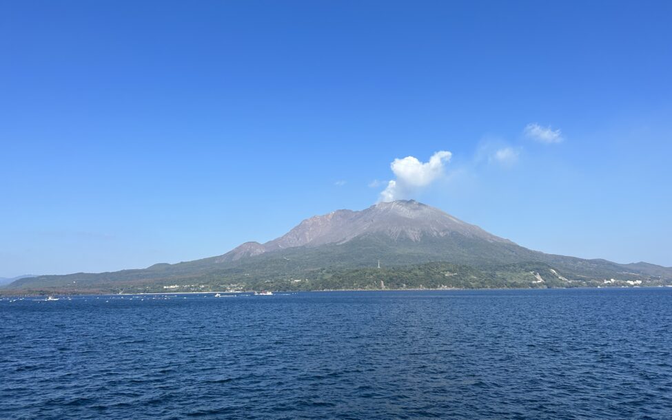 １１月２２日(水)好きなタイプは？